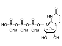 腺苷-5'-二磷酸鈉鹽水合物，98%
