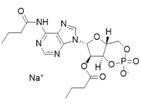 N6,2′-O-二丁?；佘?′,5′-環(huán)磷酸 鈉鹽，97%
