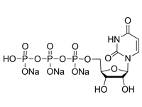 5’-三磷酸尿苷三鈉(UTP)，99%