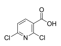 2,6-二氯吡啶-3-羧酸，98%