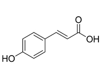 對羥基肉桂酸，98%（HPLC）