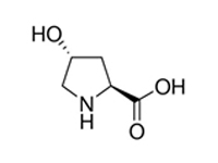L-羥基脯氨酸，99%
