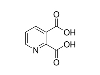 2，3-吡啶二羧酸, 99%（GC）