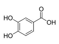 3，4-二羥基苯甲酸，CP，98%