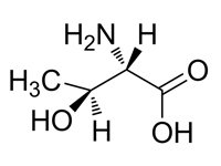 L-別蘇氨酸，95%(HPLC) 